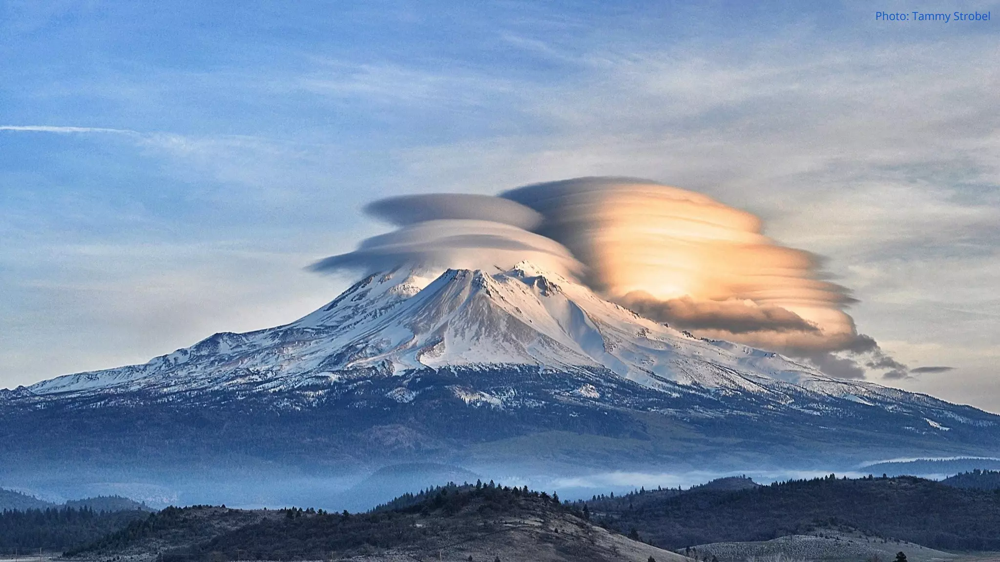 Photo: Tammy Strobel
 