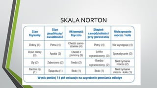SKALA NORTON
 