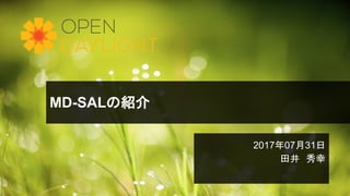 MD-SALの紹介
2017年07月31日
田井 秀幸
 