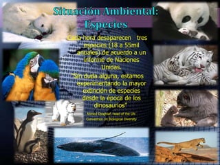 Cada hora desaparecen  tres especies (18 a 55mil anuales) de acuerdo a un informe de Naciones Unidas. “ Sin duda alguna, estamos experimentando la mayor extinción de especies desde la época de los dinosaurios"  Ahmed Djoghlaf, head of the UN  Convention on Biological Diversity 