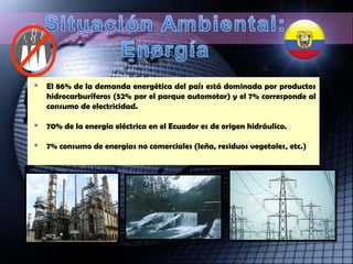 El 86% de la demanda energética del país está dominada por productos hidrocarburíferos (52% por el parque automotor) y el 7% corresponde al consumo de electricidad.  70% de la energía eléctrica en el Ecuador es de origen hidráulico.  7% consumo de energías no comerciales (leña, residuos vegetales, etc.) 