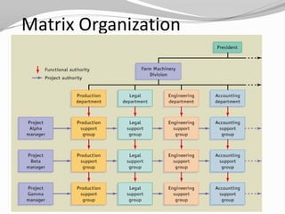 Matrix Organization
 