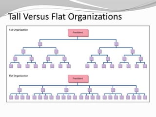 Tall Versus Flat Organizations
 