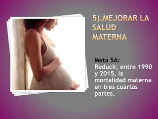 Meta 5A:
Reducir, entre 1990
y 2015, la
mortalidad materna
en tres cuartas
partes.
 