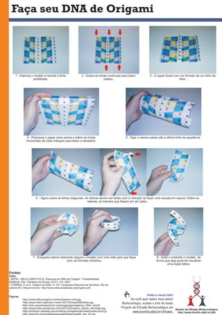 Fontes:
Texto
-
Figuras
SEPEL, MN & LORETO ELS. Estrutura do DNA em Origami - Possibilidades
Didáticas. Rev. Genética da Escola, 02.01, 3-5, 2007.
- CORREA, E et al. Origami de DNA. In: 53° Congresso Nacional de Genética, Rio de
Janeiro-RJ. Disponível em: http://www.odnavaiaescola.org/origami.pdf
-
Http://www.hallucinogens.com/lsd/watson-crick.jpg
Http://www.chem.yale.edu/~chem125/125/xray/DNA/dnax.jpg
Http://info.cancerresearchuk.org/images/gpimages/ys_DNA_4and5
Http://axpzo.files.wordpress.com/2007/03/origami_estudo_dendright.jpg
Http://evolution.berkeley.edu/evolibrary/images/interviews/rnastructure.gi
Faça seu DNA de Origami
A
T
T
A
C
G
G
C
A
T
Núcleo de Difusão Biotecnológica
http://www.bioinfo.ufpb.br/ndb
Se você quer saber mais sobre
Biotecnologia, acesse o site do nosso
Projeto de Difusão Biotecnológica em
www.bioinfo.ufpb.br/difusao.
Visite o nosso Site!
1 - Imprima o modelo e recorte a linha
pontilhada.
2 - Dobre as linhas contínuas para baixo
(setas).
3 - O papel ficará com um formato de um trilho de
trem.
4 - Posicione o papel como acima e dobre as linhas
horizontais de cada triângulo para baixo e desdobre.
5 - Siga o mesmo passo até a última linha da sequência.
6 - Agora sobre as linhas diagonais. As dobras devem ser feitas com a intenção de fazer uma escada em espiral. Dobre as
laterais, se maneira que fiquem em pé (seta).
7 - Enquanto estiver dobrando segure o modelo com uma mão para que fique
com um formato cilíndrico.
8 - Solte e o modelo de
forma que seja possível visualizar
uma dupla hélice.
endireite
 