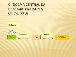 O “Dogma Central da Biologia” (Watson & Crick, 60’s)