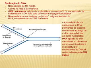 Rompimento das pontes de hidrogênio por proteínas especificas;