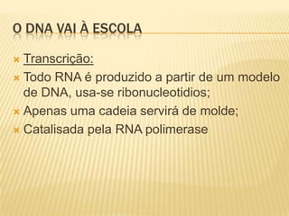 Regra de emparelhamento A-T; C-G