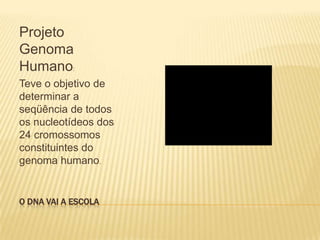 RNA - Molécula	Tipos:mRNAs (RNAs mensageiros): veículo pelo qual a informação genética é transferida do DNA aos ribossomos para a síntese de cadeias polipeptídicas.rRNAs (RNAs ribossômicos): componentes estruturais dos ribossomos - catalisam a tradução de um mRNA em uma cadeia polipeptídica.tRNAs (RNA transportador ou de transferência): moléculas adaptadoras que traduzem a informação presente no mRNA em uma seqüência específica de aminoácidos.
