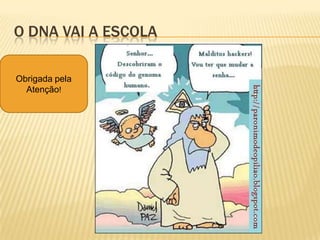 ExtraçãoPlantas jovens  (banana)Parede Celular (macerado)Membranas celulares (detergentes)Separação de DNA/proteínas (solução  lise)Evitar a oxidação do DNA (gelo)