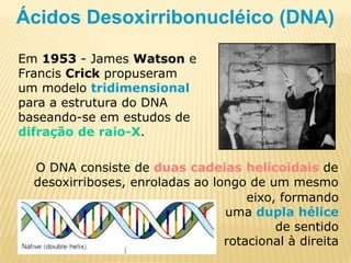 O DNA consiste de duas cadeias helicoidais de desoxirriboses, enroladas ao longo de um mesmoeixo, formando uma dupla hélice de sentido rotacional à direitaÁcidos Desoxirribonucléico (DNA)Em 1953 - James Watson e Francis Crick propuseram um modelo tridimensional para a estrutura do DNA baseando-se em estudos de difração de raio-X.