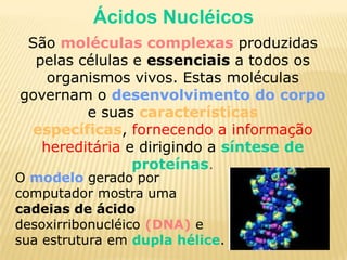 Ácidos NucléicosSão moléculas complexasproduzidas pelas células e essenciais a todos os organismos vivos. Estas moléculas governam odesenvolvimento do corpoe suascaracterísticas específicas, fornecendo a informação hereditária e dirigindo asíntese de proteínas. O modelo gerado por computador mostra uma cadeias de ácido desoxirribonucléico (DNA) e sua estrutura em dupla hélice.