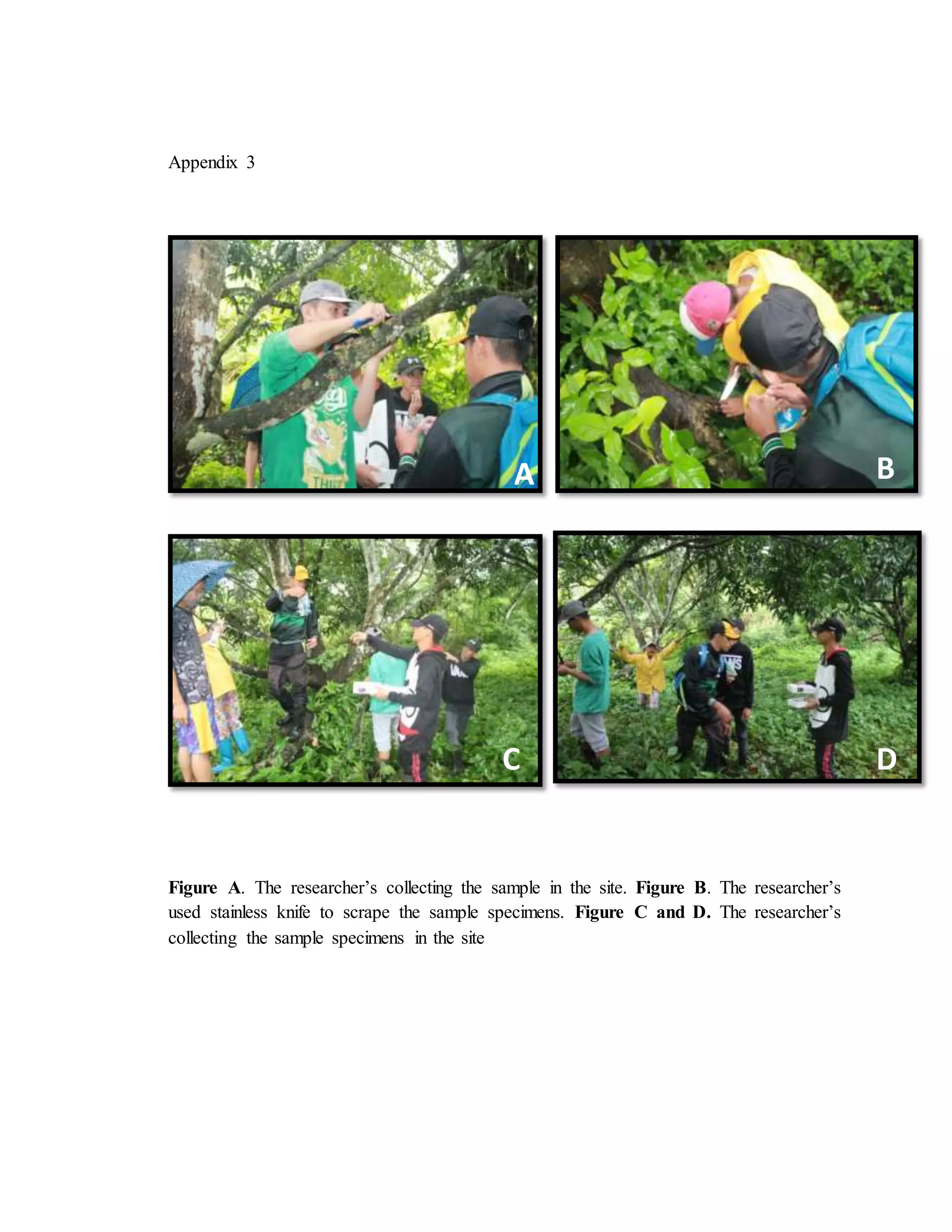 Appendix 3
Figure A. The researcher’s collecting the sample in the site. Figure B. The researcher’s
used stainless knife to scrape the sample specimens. Figure C and D. The researcher’s
collecting the sample specimens in the site
A B
C D
 