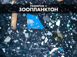 —¿«ÃÅЕ—ŒÃ –
«ŒŒœÀ¿ÕÊК“ŒÕ
 