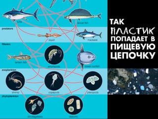 “¿ÊК
ÏПËЛÀАÑСÒТÈИÊК
œŒœ¿ƒ¿ÅЕ“ ¬
œ»ŸÅЕ¬”ﬁ
÷ÅЕœŒ×ЧÊК”
 