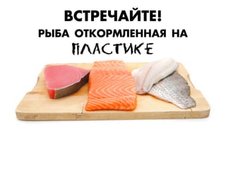 ¬–“—ÅЕ×Ч¿…“ÅЕ!
—¤¡¿ Œ“ÊКŒ—ÃÀÅЕÕÕ¿ﬂ Õ¿
ÏПËЛÀАÑСÒТÈИÊКÅЕ
 