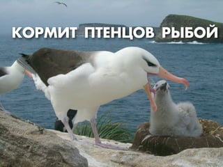 ÊКŒ—Ã»“ œ“ÅЕÕ÷Œ¬ —¤¡Œ…
 