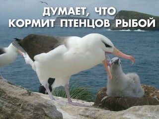 ÊКŒ—Ã»“ œ“ÅЕÕ÷Œ¬ —¤¡Œ…
ƒ”Ã¿ÅЕ“, ×Ч“Œ
 