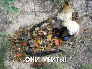 ŒÕ» ”¡»“¤!
 