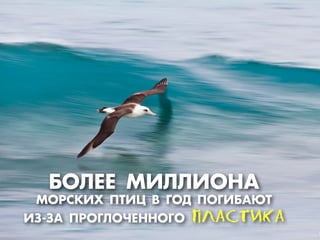 ¡ŒÀÅЕÅЕ Ã»ÀÀ»ŒÕ¿
ÃŒ—–ÊК»’ œ“»÷ ¬ ÃГŒƒ œŒÃГ»¡¿ﬁ“
»«-«¿ œ—ŒÃГÀŒ×ЧÅЕÕÕŒÃГŒ ÏПËЛÀАÑСÒТÈИÊКÀА
 