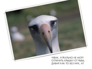 ×ЧÓУÂВÀАÊК, ßЯ ÐРÅЕÀАËЛÜЬÍНÎО ÍНÅЕ ÌМÎОÃГÓУ
ÎОÒТËЛÈИ×ЧÈИÒТÜЬ ÊКÐРÛЫØШÊКÓУ ÎОÒТ ÐРÛЫÁБÛЫ,
ÄДÀАÂВÀАÉЙ ÊКÀАÊК-ÒТÎО ÁБÅЕÇЗ ÍНÈИÕХ, ÀА?
 