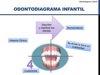 Odontodiagrama Infantil
ODONTODIAGRAMA INFANTIL
Nomenclatura
Historia Clínica
Cuadrantes
Describir
y clasificar los
dientes
 