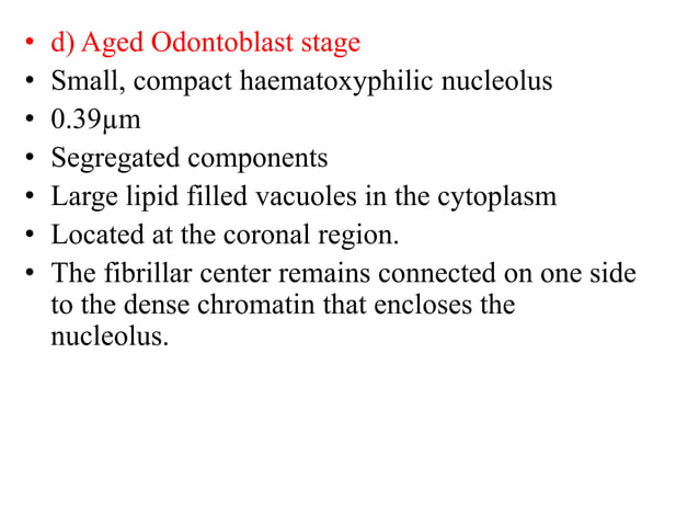 ODONTOBLAST PPT
