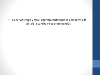 • Los nervios vago y facial aportan contribuciones menores a la
piel de la concha y sus prominencias.
 