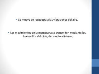 • Se mueve en respuesta a las vibraciones del aire.
• Los movimientos de la membrana se transmiten mediante los
huesecillos del oído, del medio al interno
 