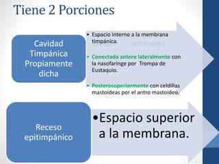 Tiene 2 Porciones
• Cavidad Timpánica Receso epitimpánico
Propiamente dicha.
• Espacio interno a la membrana
timpánica.
• Conectada antero lateralmente con
la nasofaringe por Trompa de
Eustaquio.
• Posterosuperiormente con celdillas
mastoideas por el antro mastoideo.
Cavidad
Timpánica
Propiamente
dicha
•Espacio superior
a la membrana.
Receso
epitimpánico
 