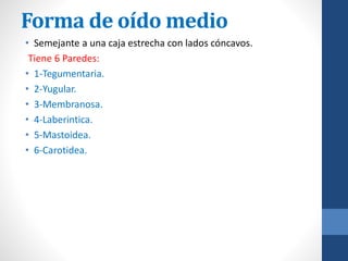 Forma de oído medio
• Semejante a una caja estrecha con lados cóncavos.
Tiene 6 Paredes:
• 1-Tegumentaria.
• 2-Yugular.
• 3-Membranosa.
• 4-Laberintica.
• 5-Mastoidea.
• 6-Carotidea.
 