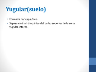 Yugular(suelo)
• Formada por capa ósea.
• Separa cavidad timpánica del bulbo superior de la vena
yugular interna.
 