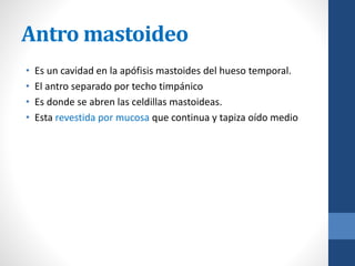 Antro mastoideo
• Es un cavidad en la apófisis mastoides del hueso temporal.
• El antro separado por techo timpánico
• Es donde se abren las celdillas mastoideas.
• Esta revestida por mucosa que continua y tapiza oído medio
 