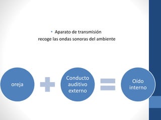 • Aparato de transmisión
recoge las ondas sonoras del ambiente
oreja
Conducto
auditivo
externo
Oído
interno
 