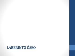 LABERINTO ÓSEO
 