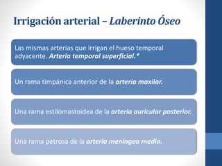 Irrigación arterial – Laberinto Óseo
Las mismas arterias que irrigan el hueso temporal
adyacente. Arteria temporal superficial.*
Un rama timpánica anterior de la arteria maxilar.
Una rama estilomastoidea de la arteria auricular posterior.
Una rama petrosa de la arteria meníngea media.
 