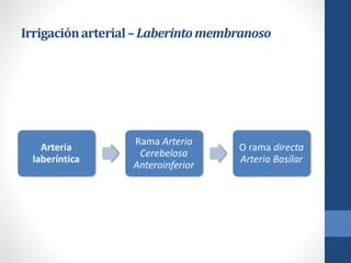 Irrigaciónarterial–Laberintomembranoso
Artería
laberíntica
Rama Arteria
Cerebelosa
Anteroinferior
O rama directa
Arteria Basilar
 