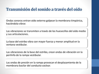 Transmisióndel sonido a travésdel oído
Ondas sonoras entran oído externo golpean la membrana timpánica,
haciéndola vibrar.
Las vibraciones se transmiten a través de los huesecillos del oído medio
y sus articulaciones.
La base del estribo vibra con mayor fuerza y menor amplitud en la
ventana vestibular.
Las vibraciones de la base del estribo, crean ondas de vibración en la
perilinfa de la rampa vestibular.
Las ondas de presión en la rampa provocan el desplazamiento de la
membrana basilar del conducto coclear.
 