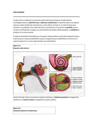 OÍDO INTERNO



El oído interno o laberinto se encuentra dentro del hueso temporal. Puede dividirse
morfológicamente en laberinto óseo y laberinto membranoso. El laberinto óseo es la cápsula
ósea que rodea al laberinto membranoso, y éste último consiste en un sistema hueco que
contiene a la endolinfa. Entre laberinto óseo y membranoso se encuentra la perilinfa, que es
en parte un filtrado de la sangre y en parte difusión de líquido cefalorraquídeo. La endolinfa se
produce en la estría vascular.

El sistema perilinfático desemboca en el espacio subaracnoídeo a través del acueducto coclear,
mientras que el sistema endolinfático viaja a lo largo del ducto endolinfático y termina en el
espacio epidural en un saco ciego llamado saco endolinfático.

Figura 4.1:
Esquema oído interno




Dentro del oído interno se reconocen sistemas distintos, el laberinto posterior encargado del
equilibrio y el sistema coclear encargado de la parte auditiva:



Figura 4.2:
Anatomía laberinto membranoso
 