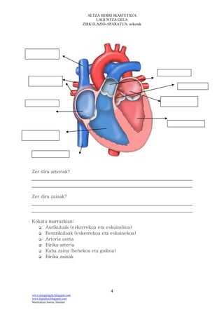 ALTZA HERRI IKASTETXEA
                                      LAGUNTZA GELA
                               ZIRKULAZIO-APARATUA: ariketak




Zer dira arteriak?




Zer dira zainak?




Kokatu marrazkian:
   Aurikuluak (ezkerrekoa eta eskuinekoa)
   Bentrikuluak (eskerrekoa eta eskuinekoa)
   Arteria aorta
   Birika arteria
   Kaba zaina (behekoa eta goikoa)
   Birika zainak




                                            4
www.margarigela.blogspot.com
www.hipialtza.blogspot.com
Marrazkien iturria; Internet
 