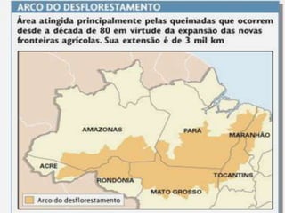 O domínio amazônico e seus ecossistemas