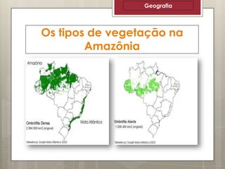 Geografia

Os tipos de vegetação na
Amazônia

 