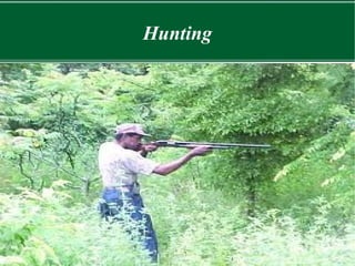 Hunting 