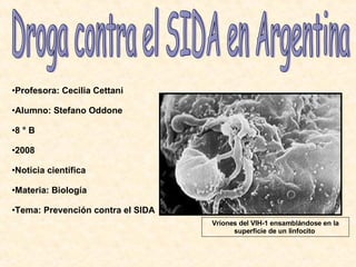 Droga contra el SIDA en Argentina ,[object Object],[object Object],[object Object],[object Object],[object Object],[object Object],[object Object],Vriones del VIH-1 ensamblándose en la superficie de un linfocito  