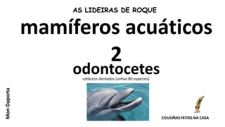 odontocetescetáceos dentados (unhas 80 especies)
MonDaporta
AS LIDEIRAS DE ROQUE
mamíferos acuáticos
2
 