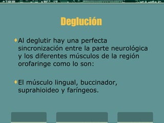 Deglución  Al deglutir hay una perfecta sincronización entre la parte neurológica y los diferentes músculos de la región orofaringe como lo son:  E l músculo lingual, buccinador, suprahioideo y faríngeos. 