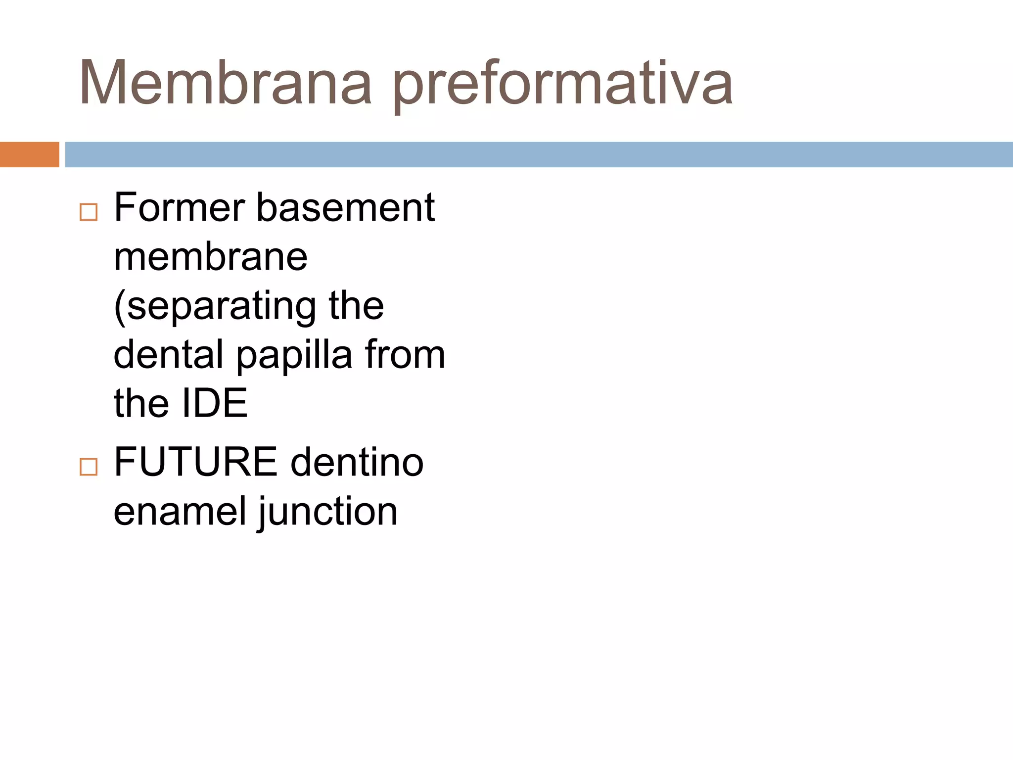 Membrane Preformative Odontogenesis | PPTX