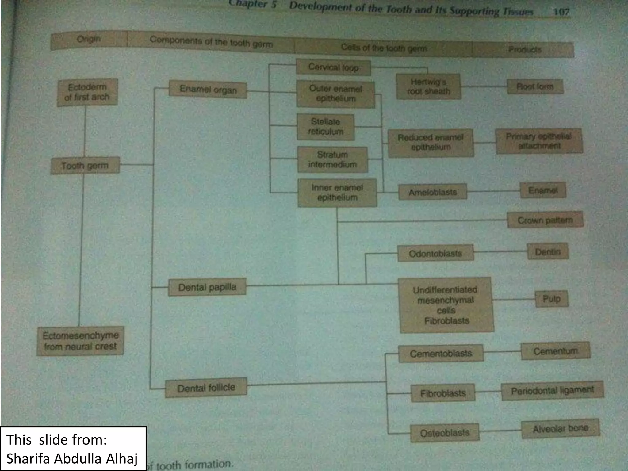 This slide from:
Sharifa Abdulla Alhaj
 