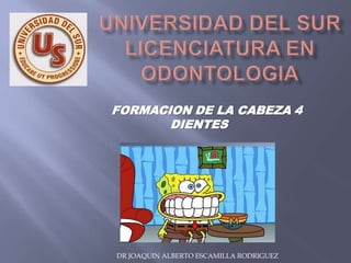 FORMACION DE LA CABEZA 4
       DIENTES




DR JOAQUIN ALBERTO ESCAMILLA RODRIGUEZ
 