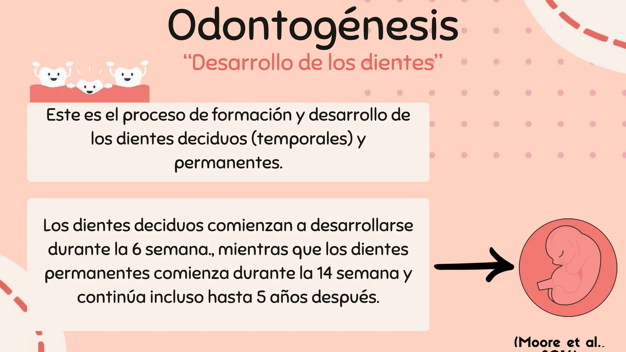 ODONTOGENESIS por Martin Fernandez pptx odontogenesis-por-martin-fernandez-pptx